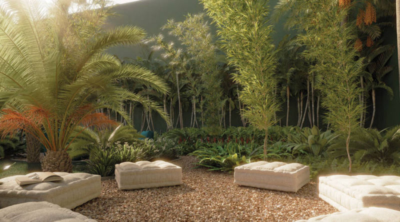 Raro Perdizes – Bosque Contemplativo